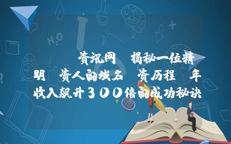 seo资讯网：揭秘一位精明投资人的域名投资历程，年收入飙升300倍的成功秘诀！