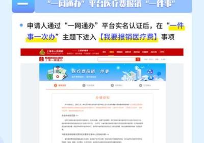 网站设计哪家：如何申请大病救助？掌握这些细节操作，轻松申请成功！