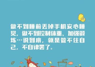 从“慢就是快”到“成为更好的自己”：探索生活的真实意义