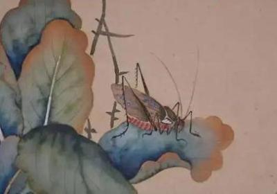 探究中国蟋蟀的生态、文化与保护
