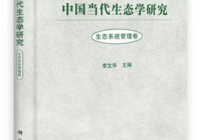 探寻热鸟的奥秘：鸟类生态学的研究与应用