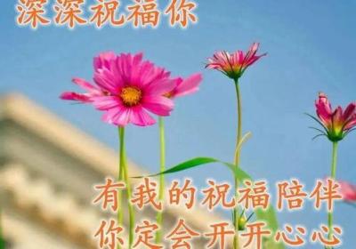 鲜活生命，静待绽放