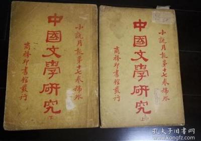 从《文心阁小说》中看中国传统文学的魅力