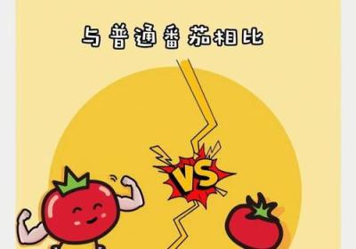 用情人节贺卡，表达浪漫情怀