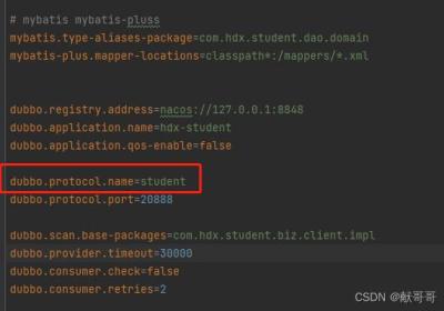 springboot启动报错：No such extension org.apache.dubbo.rpc.Protocol by name XXX, no related exception