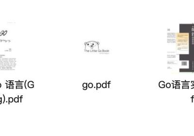 【送书活动五期】Go语言开发规范指南