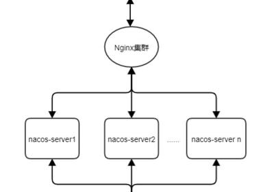 【Spring Clound】Nacos高可用集群搭建与使用