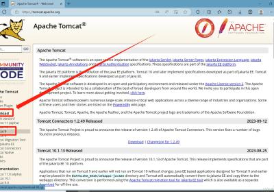 Tomcat 9的下载与系统配置教程：入门级 2023最新保姆级详细避坑教程