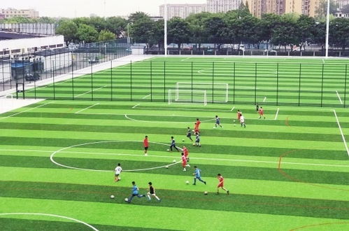 如何合法、安全的进行足球投注？,如何合法、安全的进行足球投注？,第1张
