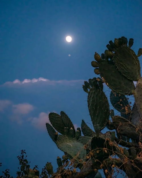 摆脱黑夜束缚的方法,摆脱黑夜束缚的方法,第1张