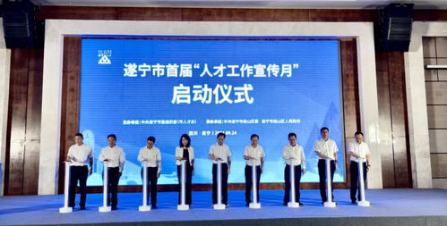 长沙专业网站制作公司：突破管理瓶颈，遂宁市人才网打造高效平台,长沙专业网站制作公司：突破管理瓶颈，遂宁市人才网打造高效平台,第2张
