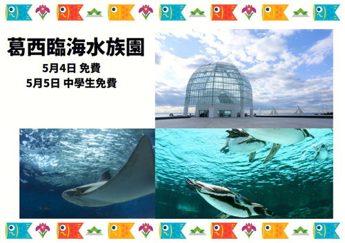 网页设计代码素材：感受日本道二区免费的美好，从此走进真正的日本,网页设计代码素材：感受日本道二区免费的美好，从此走进真正的日本,第2张