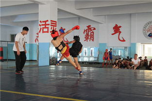 ps网站设计教程：学习武术，打造强健体魄,ps网站设计教程：学习武术，打造强健体魄,第2张
