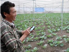 网站建设方案书范文：探索农业领域的最佳指南-色农夫网站的全面导航,网站建设方案书范文：探索农业领域的最佳指南-色农夫网站的全面导航,第3张
