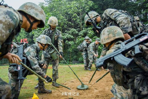 大国责任下的维和部队意义与挑战,大国责任下的维和部队意义与挑战,第1张
