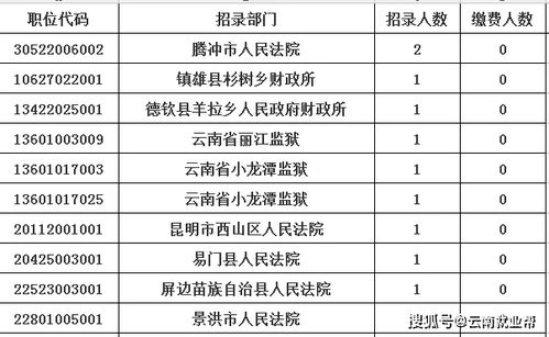 云南省公务员招录热度井喷，超10万人报名,云南省公务员招录热度井喷，超10万人报名,第3张