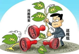 网件路由器怎么样：揭秘环中国际腐败案：20名涉案人员党纪政纪处分情况曝光,网件路由器怎么样：揭秘环中国际腐败案：20名涉案人员党纪政纪处分情况曝光,第3张