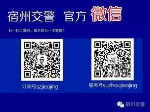 惠州市交通违法一键查询，快速查询违章记录,惠州市交通违法一键查询，快速查询违章记录,第1张