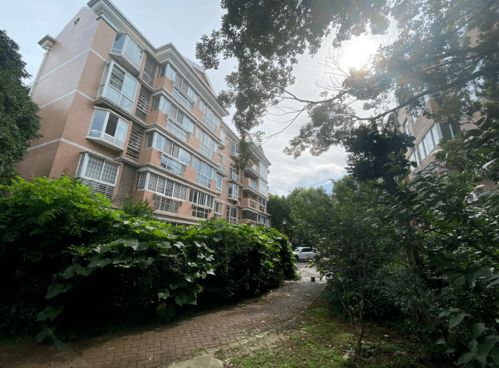 吴忠市政府号召业主积极参与小区环境维护,吴忠市政府号召业主积极参与小区环境维护,第1张
