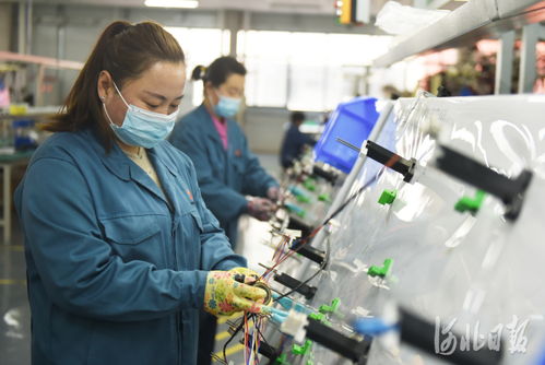 龙岩网络公司的成功经验是什么？,龙岩网络公司的成功经验是什么？,第3张