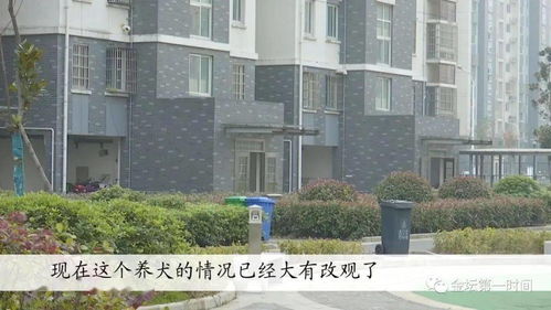 吴忠市政府号召业主积极参与小区环境维护,吴忠市政府号召业主积极参与小区环境维护,第3张