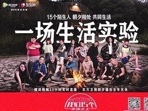 智能建站：洋芋网-开启宅家生活的新方式,智能建站：洋芋网-开启宅家生活的新方式,第2张