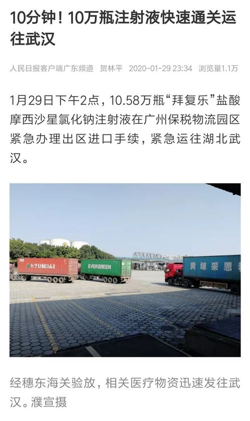 东莞网站建设咨询：海关网上查询为疫情防控创造“绿色通道”,东莞网站建设咨询：海关网上查询为疫情防控创造“绿色通道”,第2张