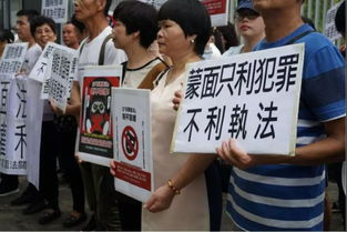 个人网页设计模板图片：南安论坛文章遭警方反驳，探讨网络舆论与执法公正,个人网页设计模板图片：南安论坛文章遭警方反驳，探讨网络舆论与执法公正,第2张