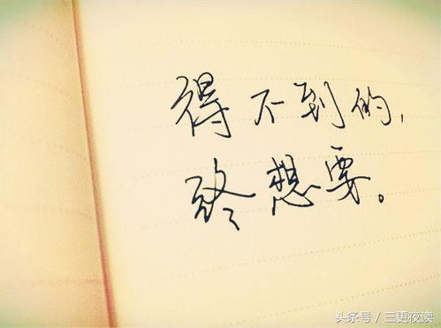 域名备案查询：如何在感恩节祭祖中成为真正的孝子？,域名备案查询：如何在感恩节祭祖中成为真正的孝子？,第3张