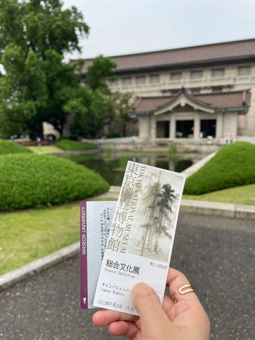 网页设计代码素材：感受日本道二区免费的美好，从此走进真正的日本,网页设计代码素材：感受日本道二区免费的美好，从此走进真正的日本,第3张