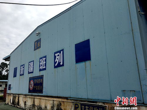 北京网络营销：跨境电商购物广州仓助力海外商品快速入境,北京网络营销：跨境电商购物广州仓助力海外商品快速入境,第3张