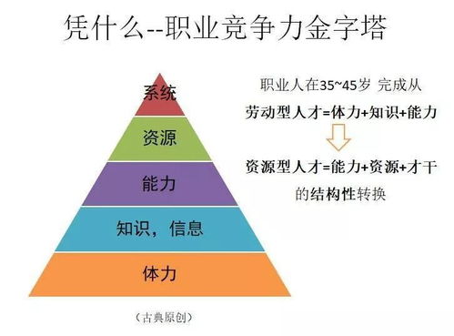 企业网站建设公司哪家便宜：职场充电指南：如何跳出舒适区，成为高竞争力人才？,企业网站建设公司哪家便宜：职场充电指南：如何跳出舒适区，成为高竞争力人才？,第3张