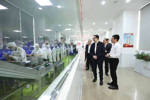 免费OA软件：简单实用的办公利器,免费OA软件：简单实用的办公利器,第3张