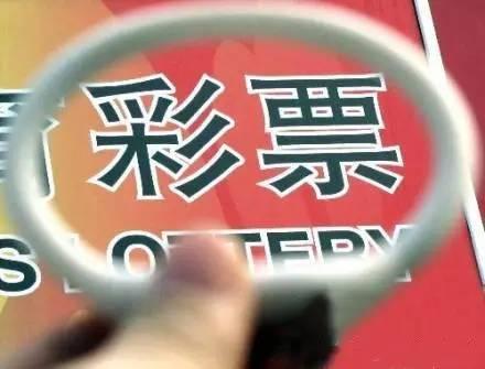手机如何制作网站教程：从四肖八码到高清跑狗，彩民的转变与时代的变迁,手机如何制作网站教程：从四肖八码到高清跑狗，彩民的转变与时代的变迁,第1张