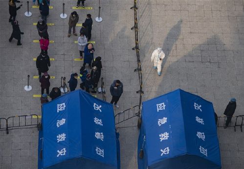 网页制作作业代码：中国新冠疫苗“出海”欧洲，世卫称其有助于全球疫苗平等分配,网页制作作业代码：中国新冠疫苗“出海”欧洲，世卫称其有助于全球疫苗平等分配,第2张
