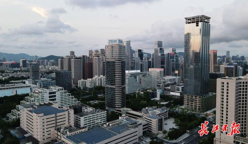 网站策划方案范文：深圳云集科技巨头，成为新一代硅谷？,网站策划方案范文：深圳云集科技巨头，成为新一代硅谷？,第1张