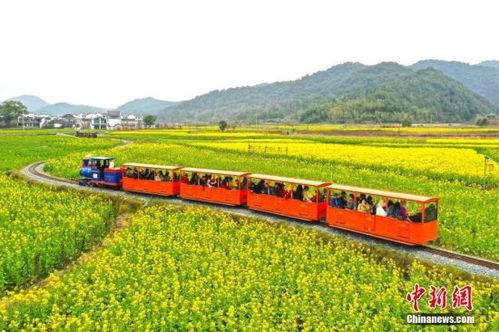 怎样设计网页：什么季节去张家界最为合适？,怎样设计网页：什么季节去张家界最为合适？,第1张