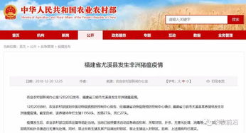 东莞网站建设咨询：海关网上查询为疫情防控创造“绿色通道”,东莞网站建设咨询：海关网上查询为疫情防控创造“绿色通道”,第1张