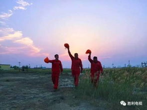 另类电影专区：颠覆你对电影的认知,另类电影专区：颠覆你对电影的认知,第2张