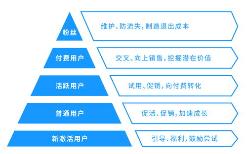 成功运营网站的关键经验分享,成功运营网站的关键经验分享,第1张