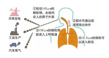 H2：新冠病毒的污染物同样会对人体造成感染,H2：新冠病毒的污染物同样会对人体造成感染,第3张