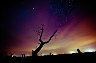 揭阳星空夜幕下的盛宴,揭阳星空夜幕下的盛宴,第2张