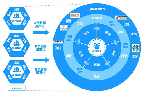 深圳奥一网：从初创到IPO，背后蕴藏的高成长故事,深圳奥一网：从初创到IPO，背后蕴藏的高成长故事,第2张