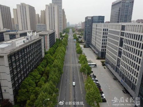 网页制作的软件：「重塑城市网络空间」-从芜湖百姓网看城市信息化建设,网页制作的软件：「重塑城市网络空间」-从芜湖百姓网看城市信息化建设,第3张