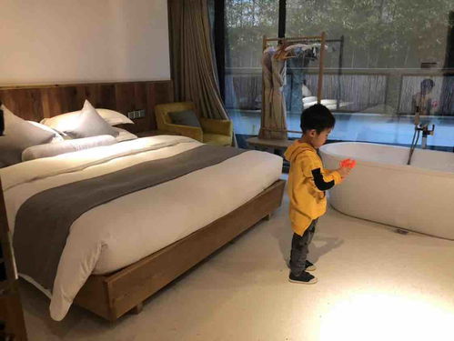 如何选择安吉最好的农家乐，让你的旅行更加舒适？,如何选择安吉最好的农家乐，让你的旅行更加舒适？,第1张