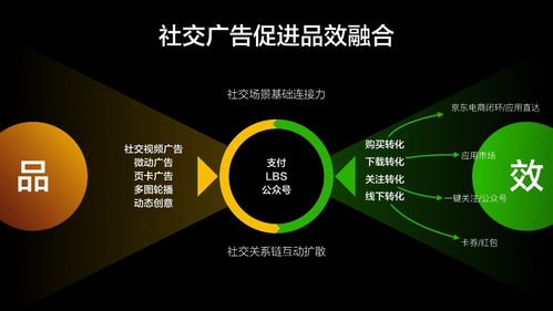 「优化后的标题」从零开始，手把手教你实现自己网站的前三名排名,「优化后的标题」从零开始，手把手教你实现自己网站的前三名排名,第3张