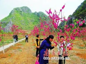 怎样设计网页：什么季节去张家界最为合适？,怎样设计网页：什么季节去张家界最为合适？,第2张