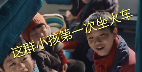 智能建站：洋芋网-开启宅家生活的新方式,智能建站：洋芋网-开启宅家生活的新方式,第3张