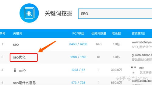 免费域名服务器：如何优化外贸网站的SEO？,免费域名服务器：如何优化外贸网站的SEO？,第3张