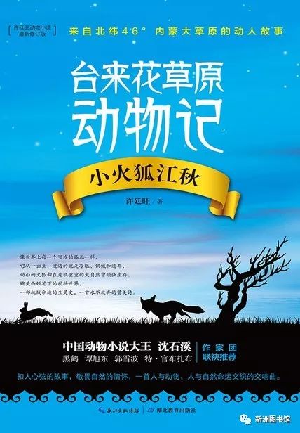 优化后的阅读是如何缓解焦虑并带来安心感的？,优化后的阅读是如何缓解焦虑并带来安心感的？,第3张